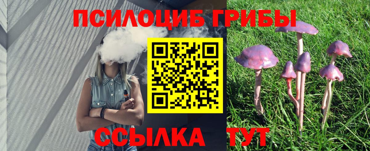 Псилоцибиновые грибы GOLDEN TEACHER Орехово-Зуево