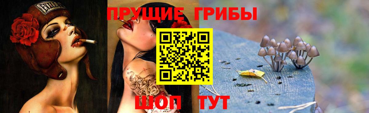Псилоцибиновые грибы Cubensis  Вход с VPN  Орехово-Зуево 